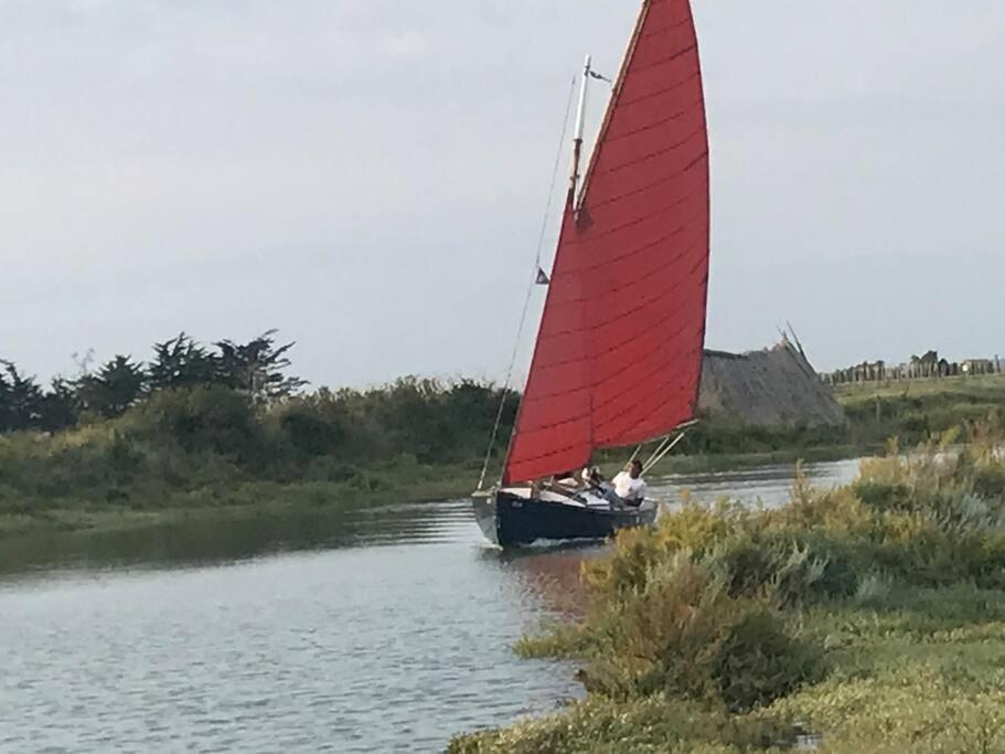 Maison De Village Et Jardin , A Mornac Sur Seudre Exteriér fotografie
