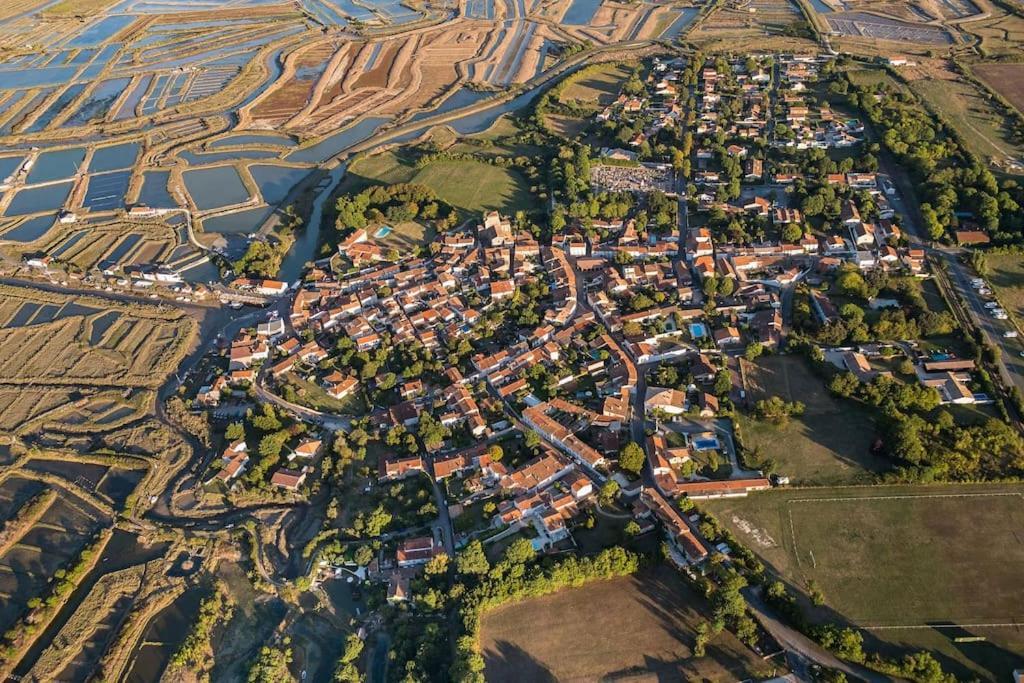 Maison De Village Et Jardin , A Mornac Sur Seudre Exteriér fotografie