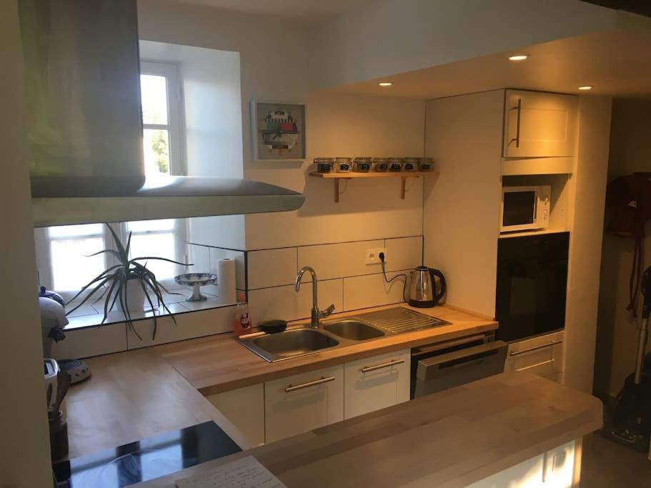 Maison De Village Et Jardin , A Mornac Sur Seudre Exteriér fotografie